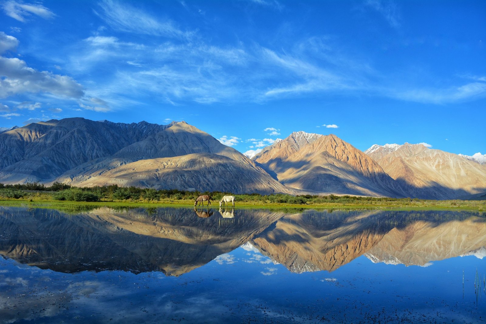 Nubra Valley road in Ladakh